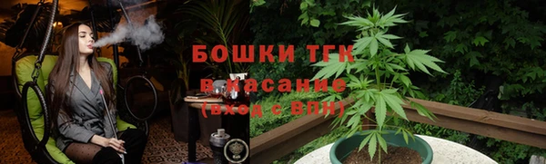 прущие крисы Заводоуковск