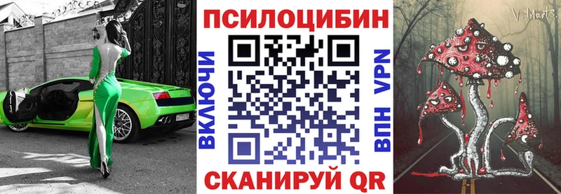 Псилоцибиновые грибы Psilocybine cubensis  Зубцов 